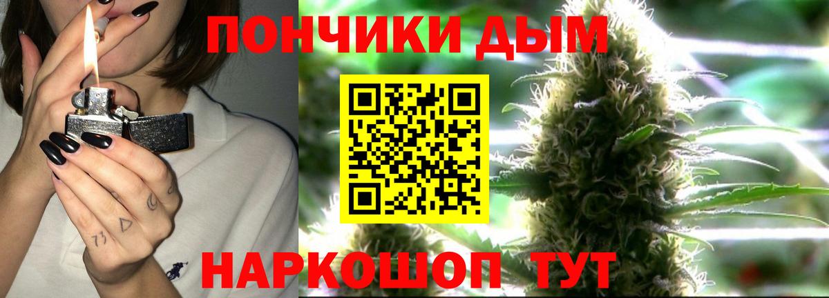 Каннабис сатива  Каннабис Bruce Banner  Александров  Марихуана план  Вход с VPN 